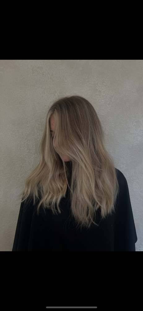shampoo, cut, blow dry