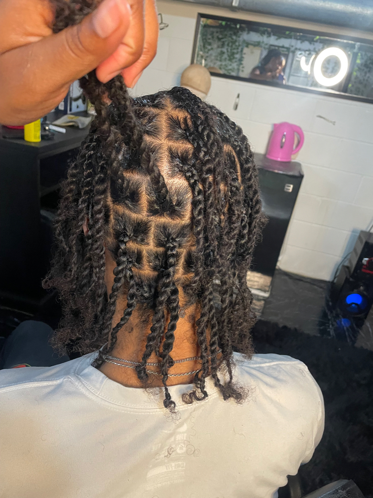 Twist (natural Hair)
