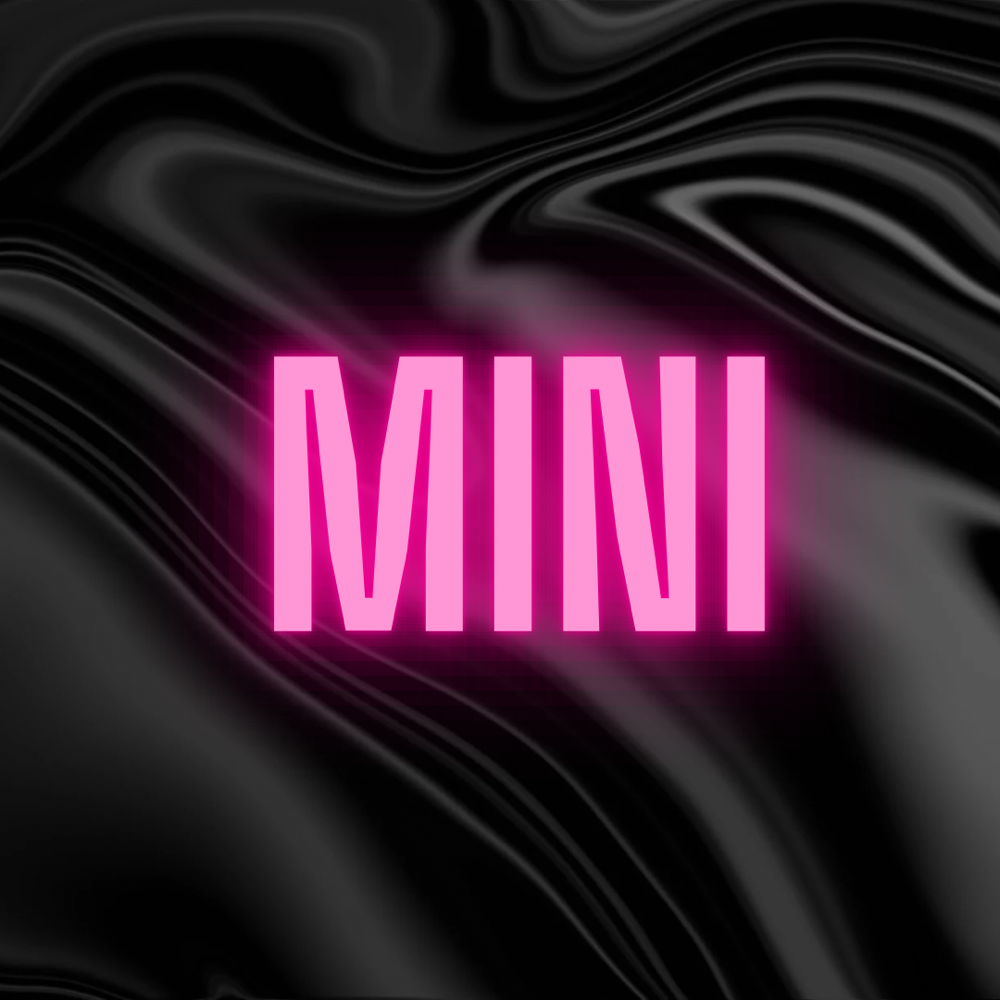 Mini at Southern Layne Beauty in San Antonio, TX