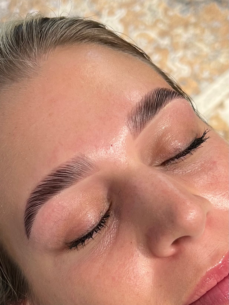 Lamination and Wax & Tint + Lip Wax at Brows By April in Knoxville, TN