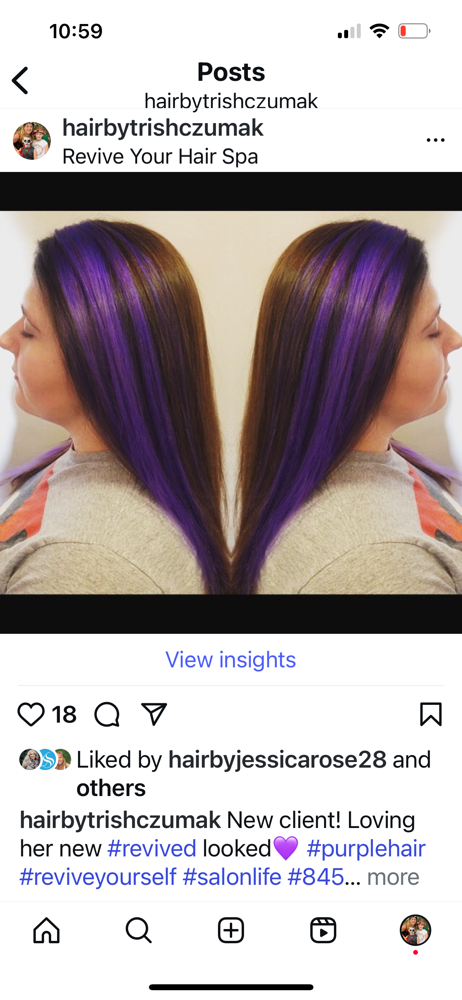 Fashio Color/ Creative Design at The suite life by Trish in New Windsor, NY