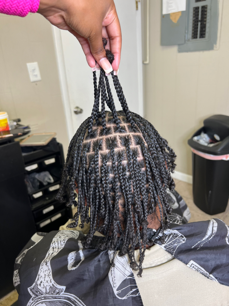 Plaits
