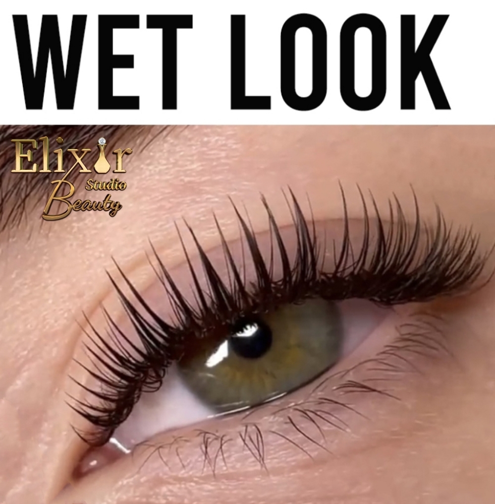 Lash Extensions Wet Look 2D