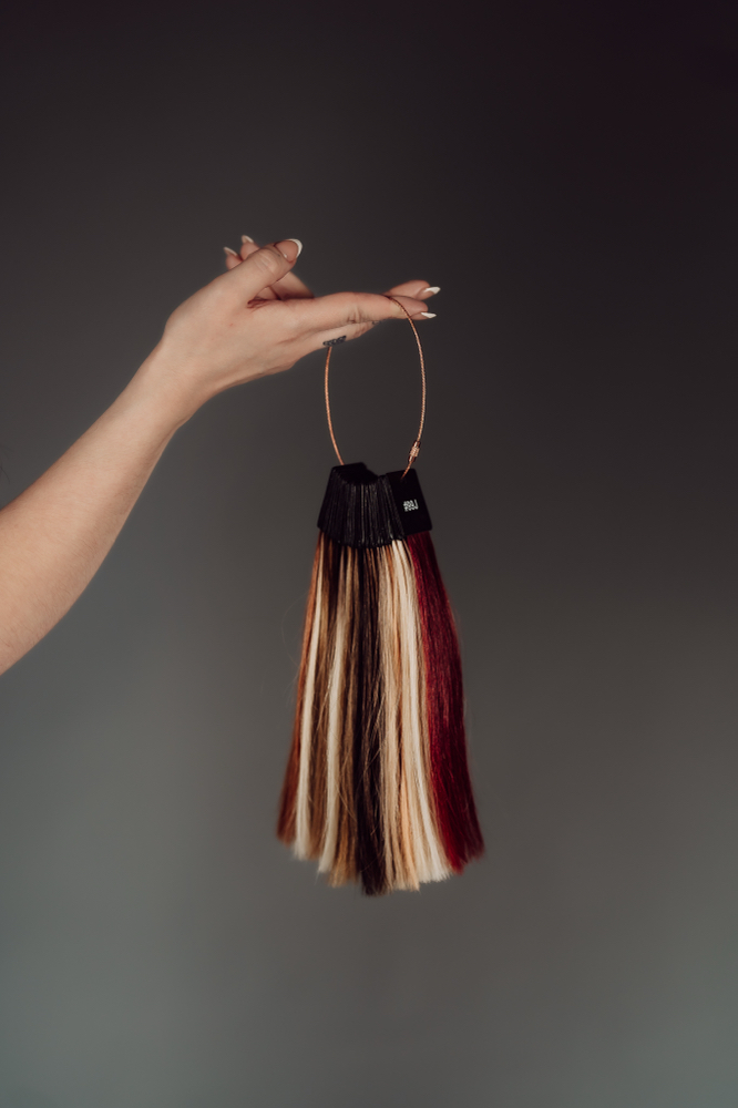 Hair Extension Consultation