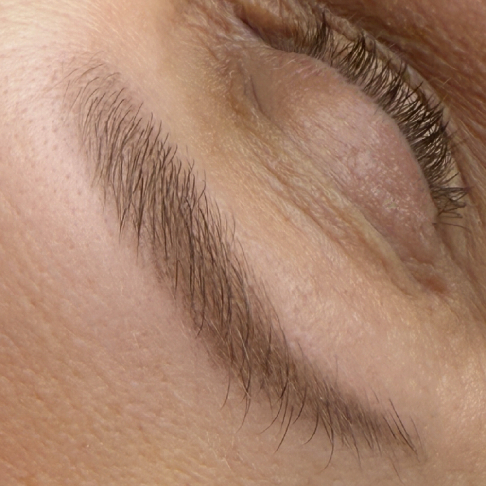 PERMA BROWS at OLESIA SHARUN in Los Angeles, CA