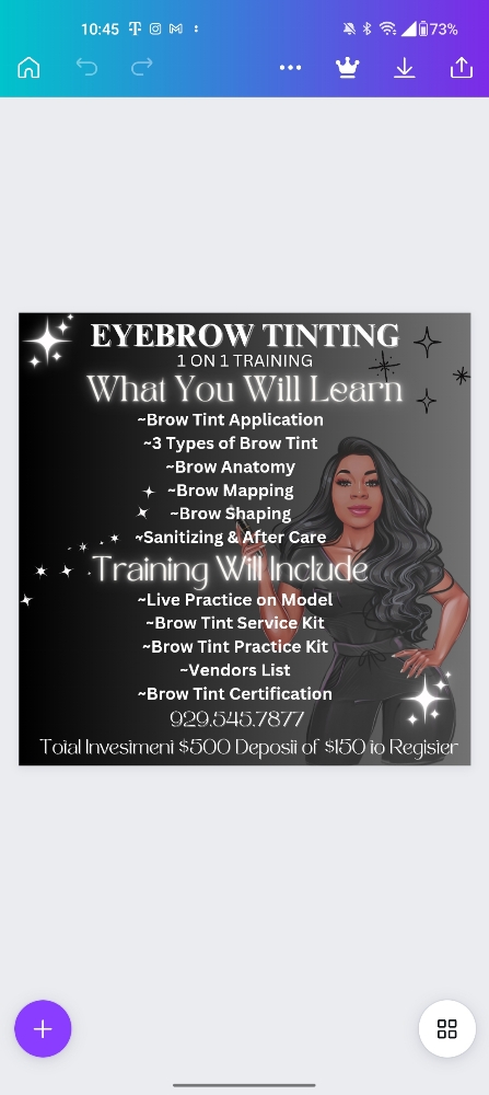 Brow Tint Training 1:1