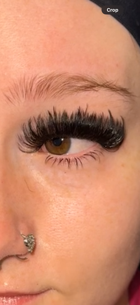 Bottom Lashes
