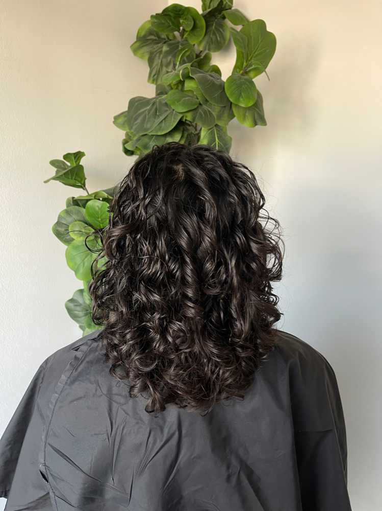 Curly Cut