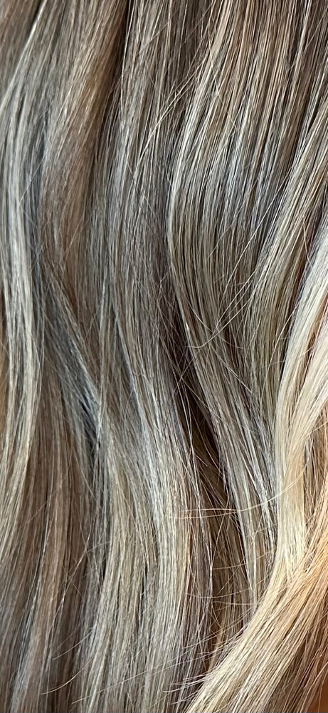 Partial Highlights