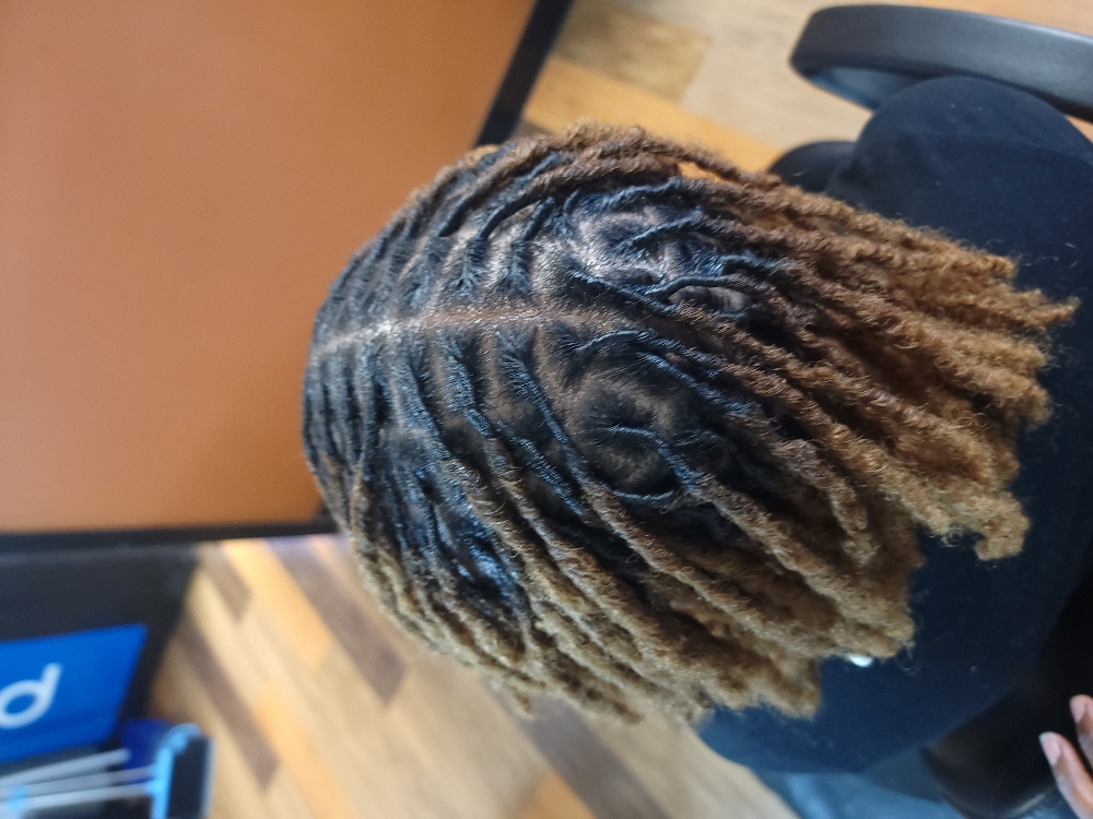 Loc Retwist