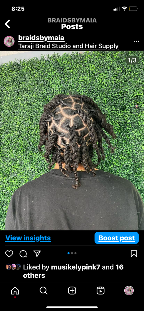 Loc Maintenance + 2 Strands