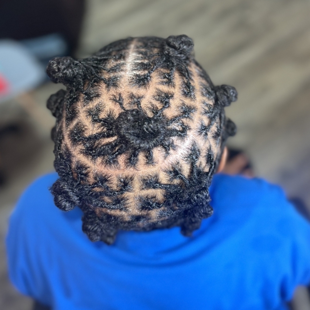 Starter Locs (SMALL) at The Elevated Touch in Fayetteville, GA