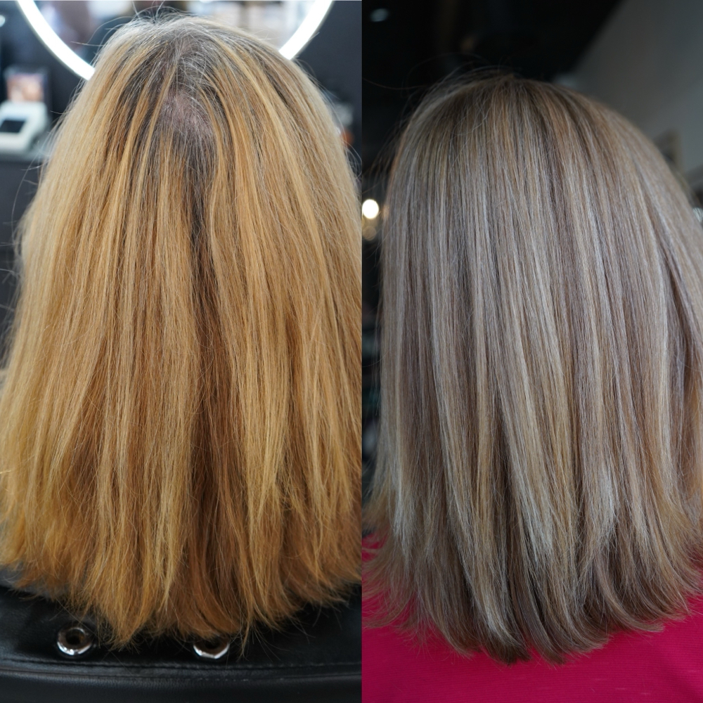 Root Refresh & Mini Foil