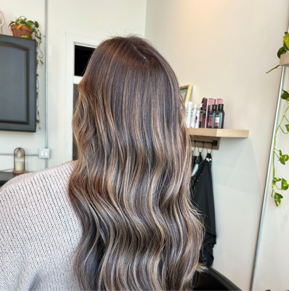 Grey Coverage + Haircut at Studio M in Pendleton, IN