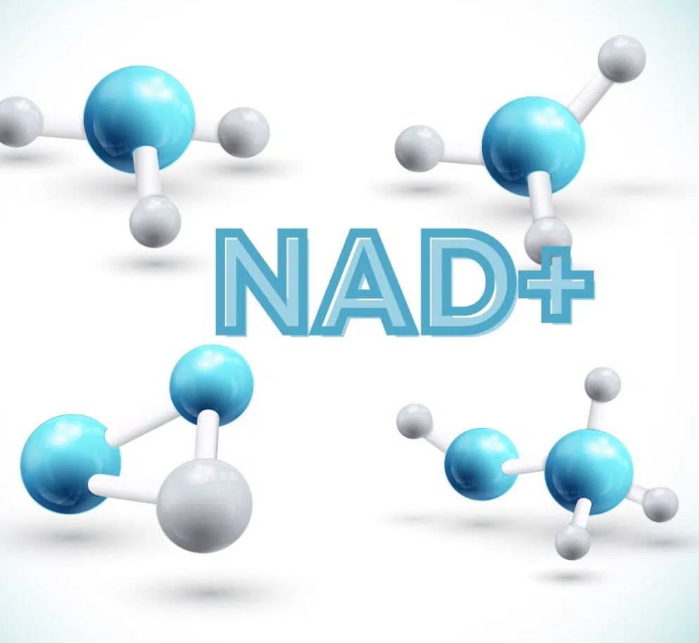 NAD+ BioPeptide Perfecting Facial at Anointed Aesthetics in Pasadena, TX