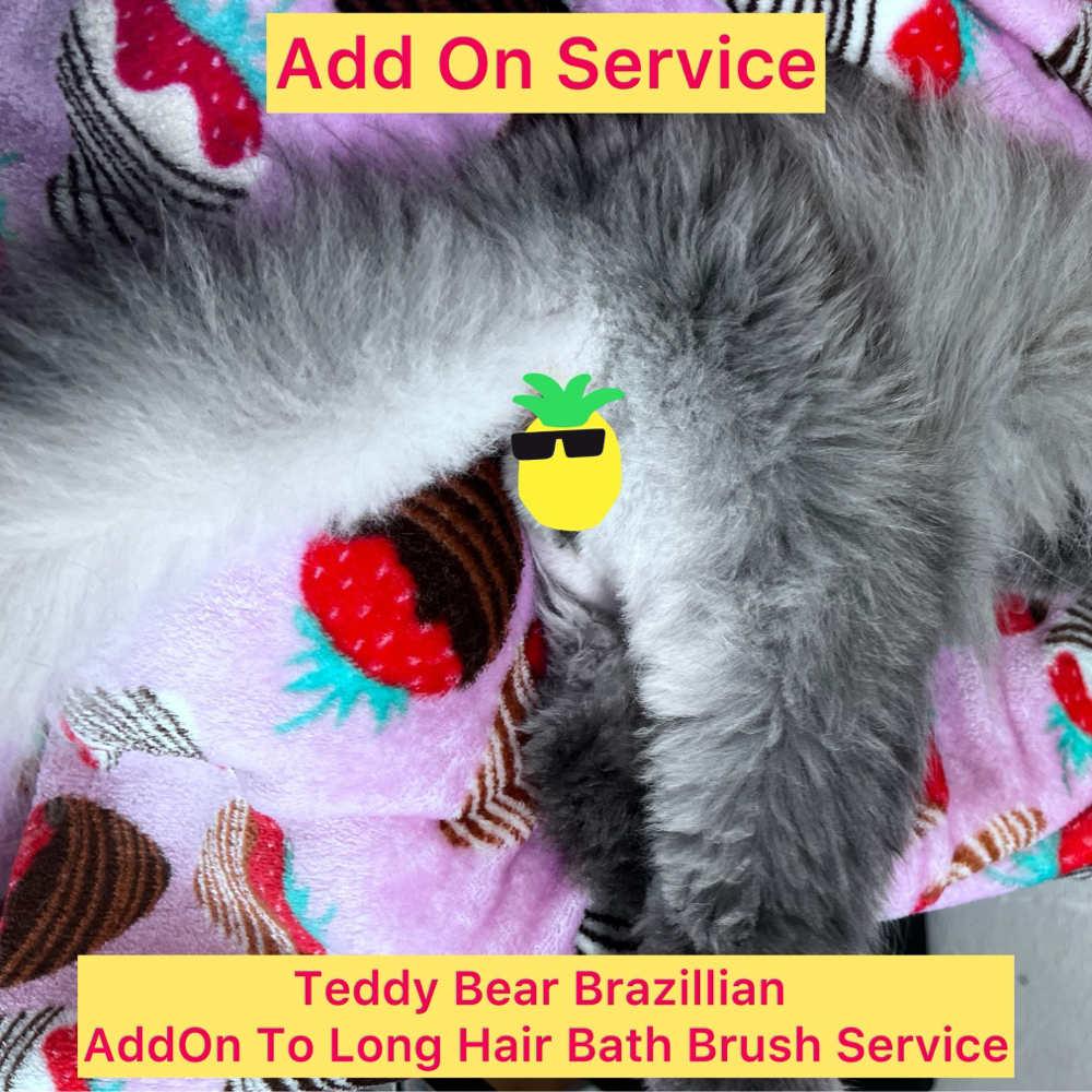 Teddy Brazilian ( Add On Service)