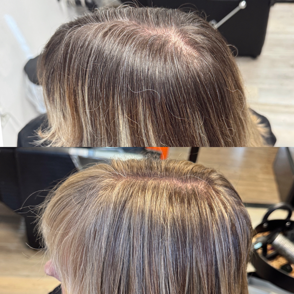 root touch up (grey coverage)