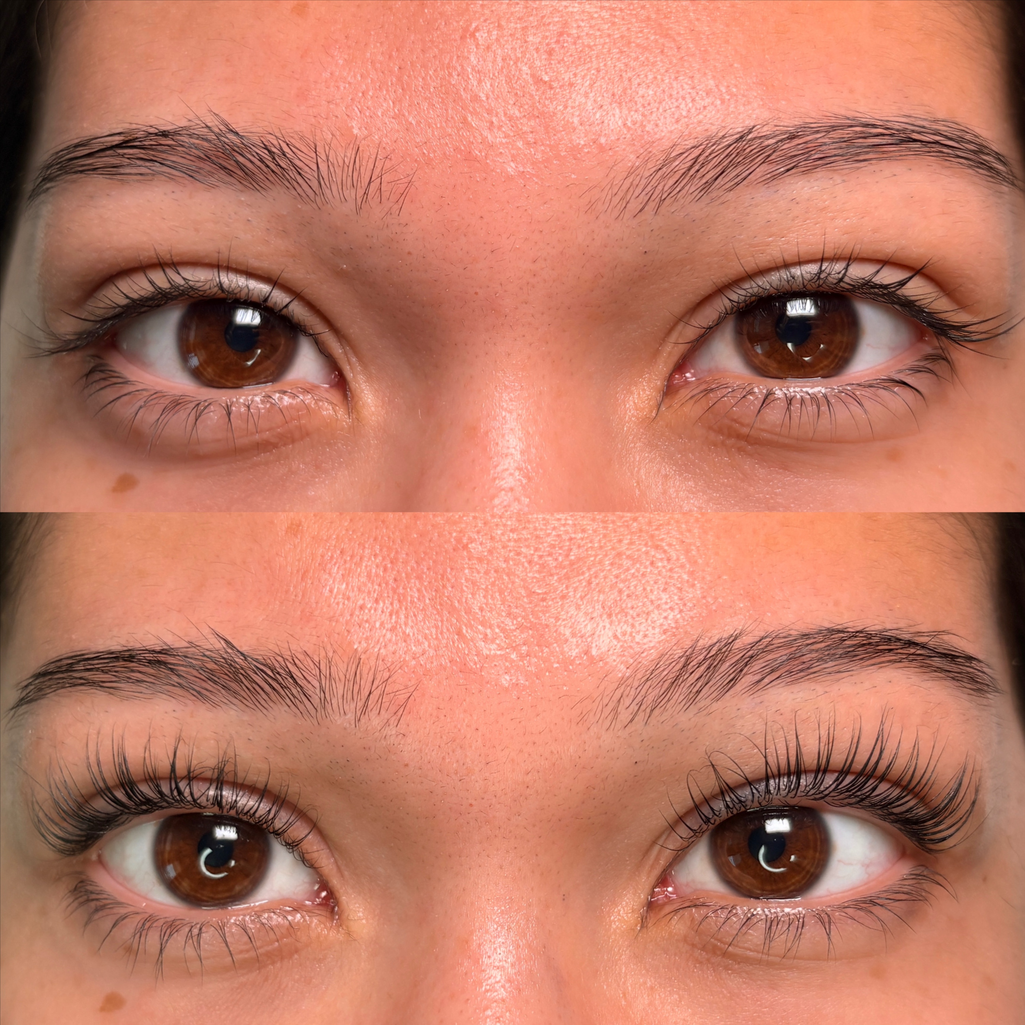 Keratin Lash Lift at Moss & Moon in Pflugerville, TX