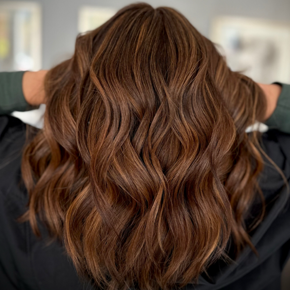 Luxe Dimensional Balayage at ARIE HAIR&COLORIST in Alamo, CA