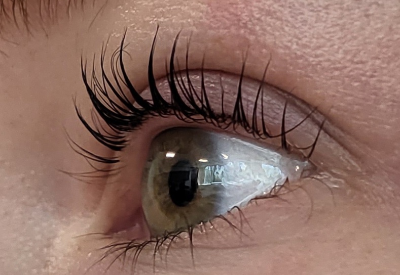 Eyelash Tinting