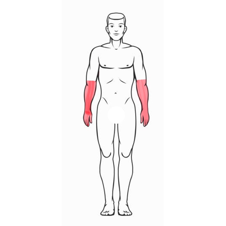 1/2 Arms