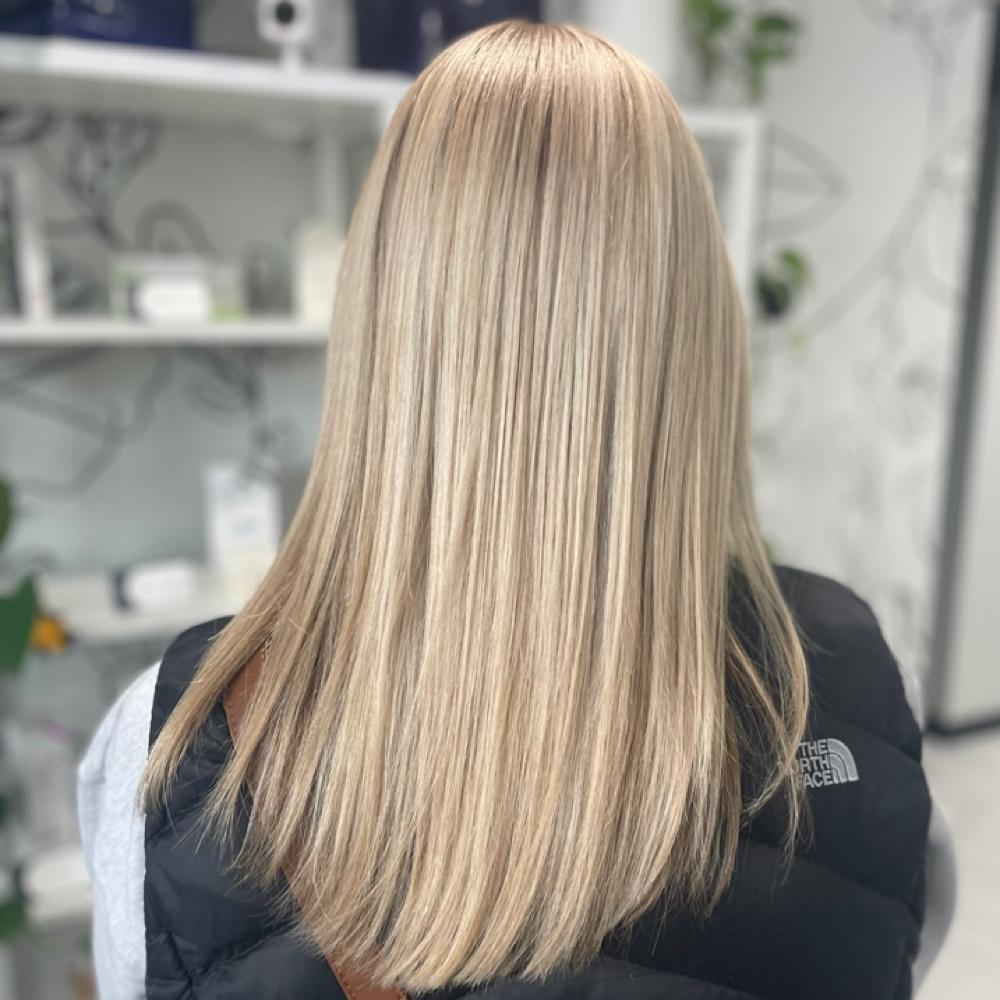 The Signature Cut Collection at Vault Salon + Co. in Cedar Rapids, IA