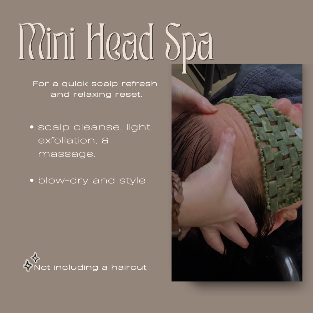 Mini Head Spa Service at Painted Hair Studio Salon in McDonough, GA
