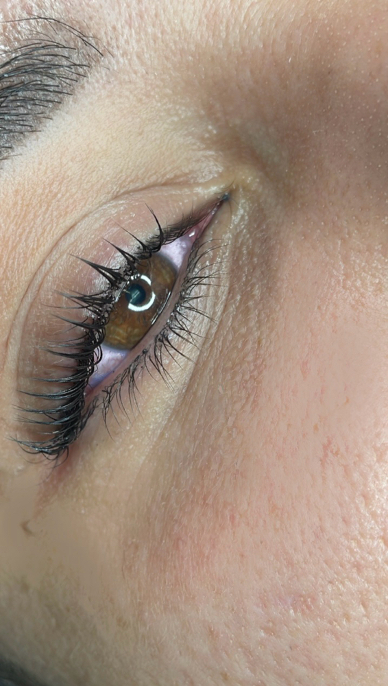 Lash Lift & Tint