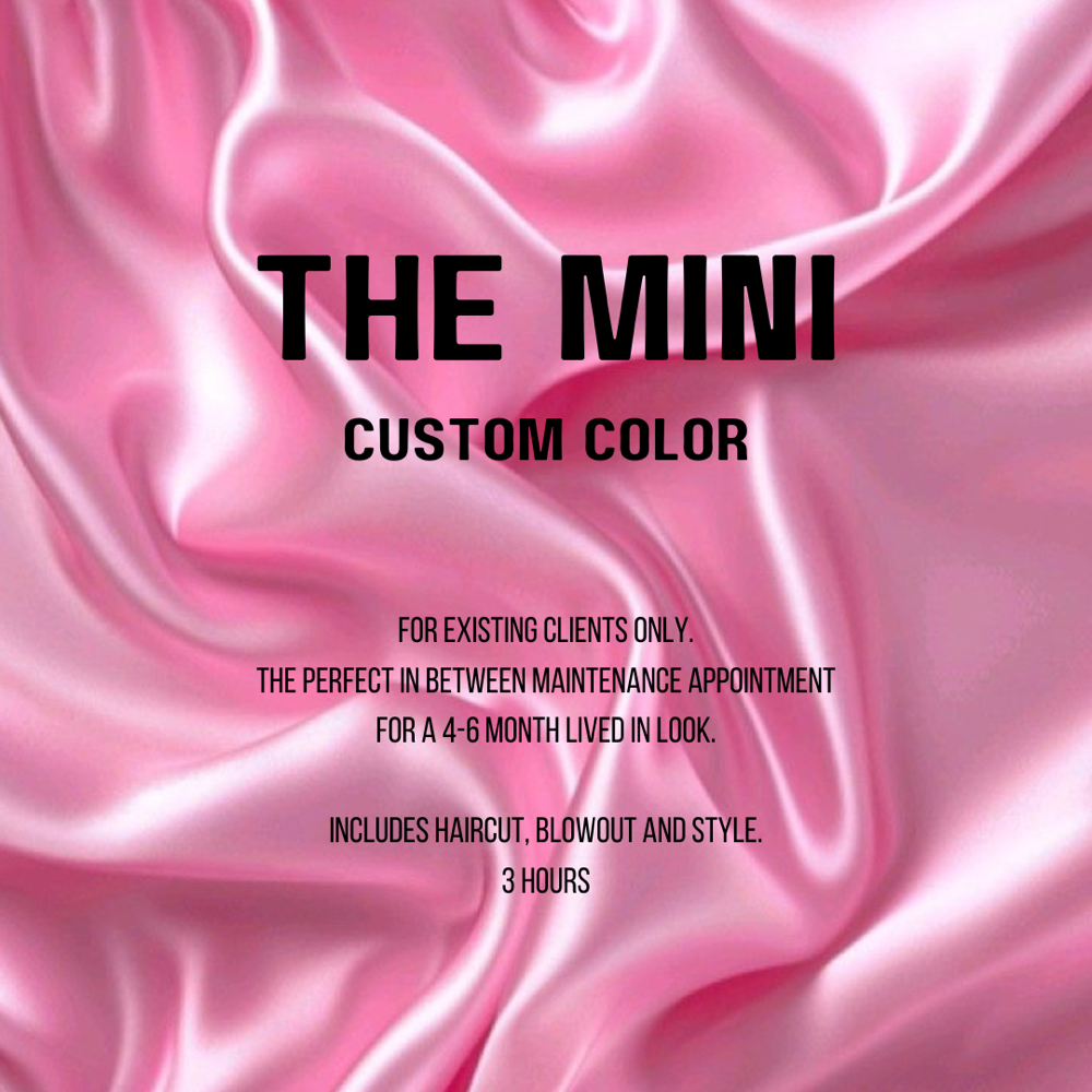 Mini Custom Color