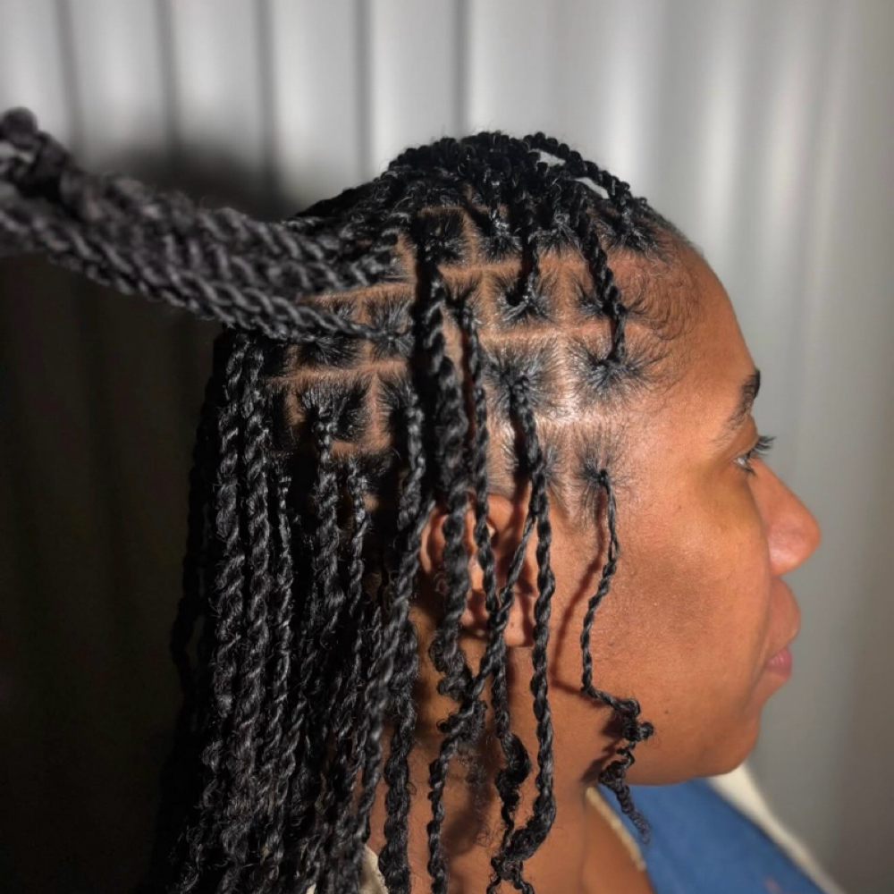 Micro Twist (smedium) 🌹 at K Luxe Hair