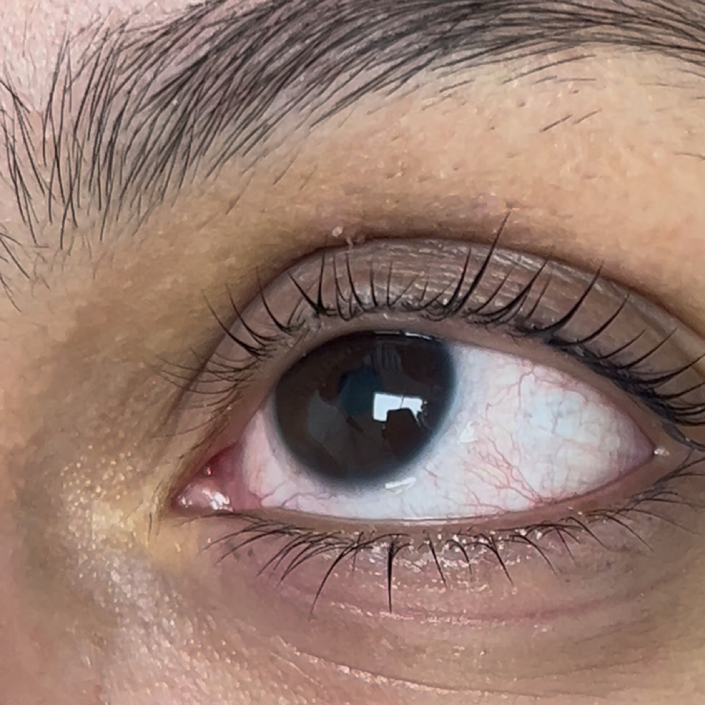 Korean Lash Lift at DaeAura in Pinellas Park, FL