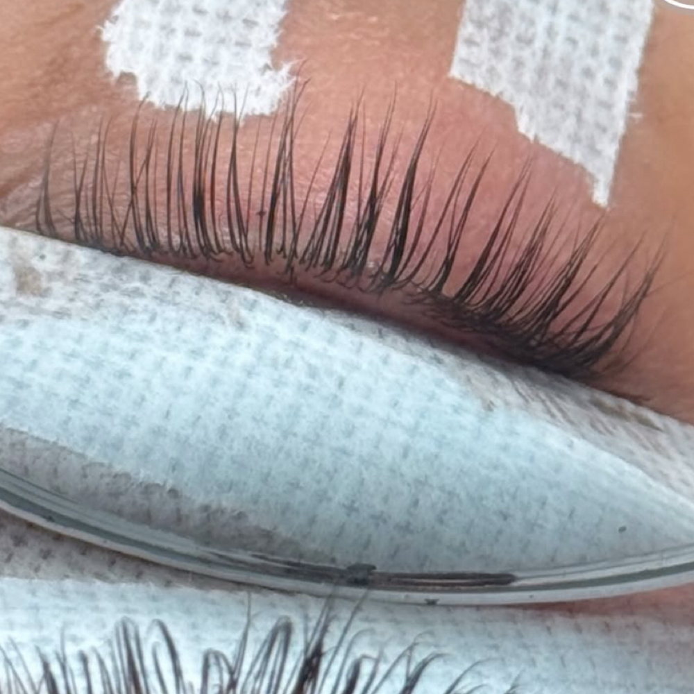 Lash Lift And Tint Combo at Eyedeallash in Wickliffe Ohio, OH