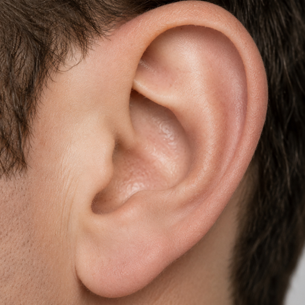 Ears at Taylor Skin Co in colorado springs, CO
