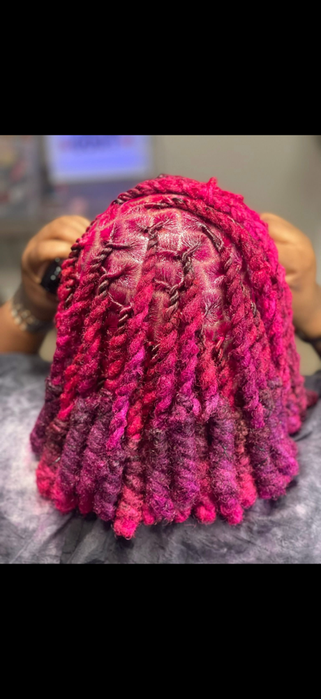 Color Remover, Bleach & Dye