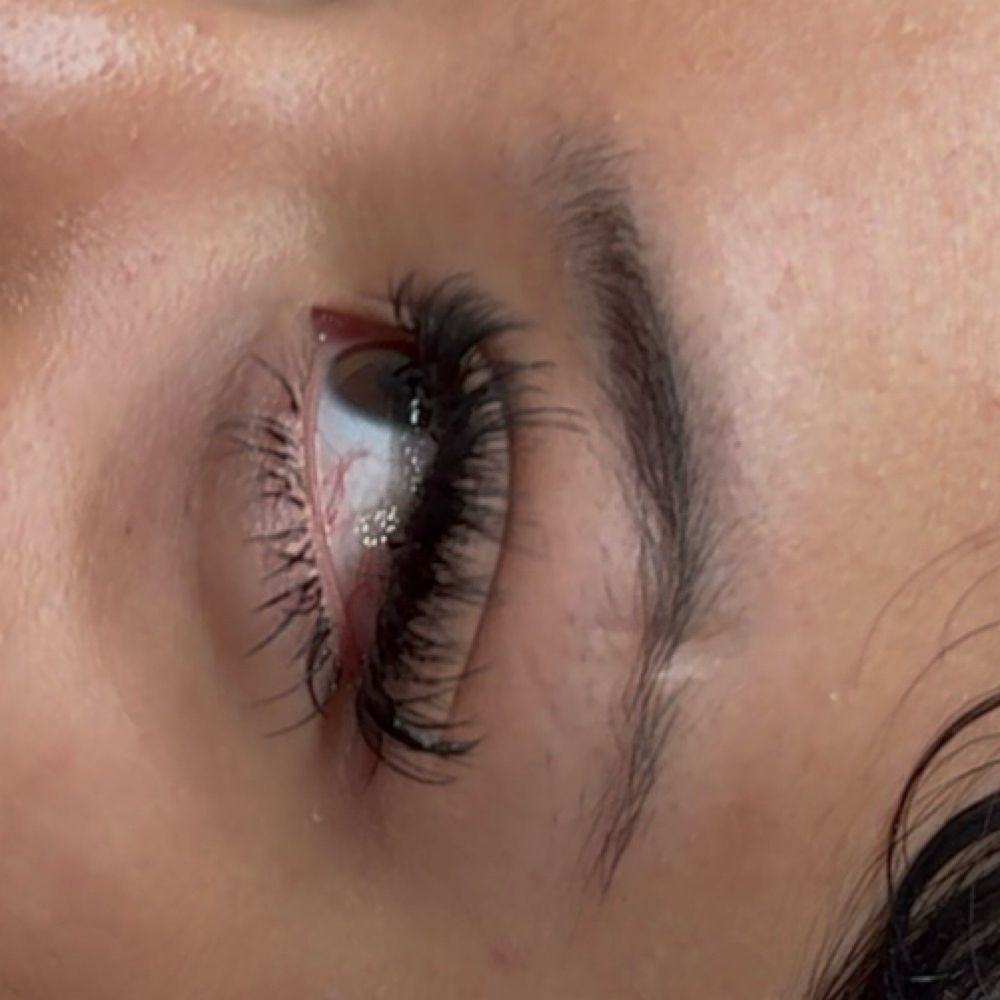 Bottom Lashes at TeddyLashStudio in Wisconsin Dells, WI