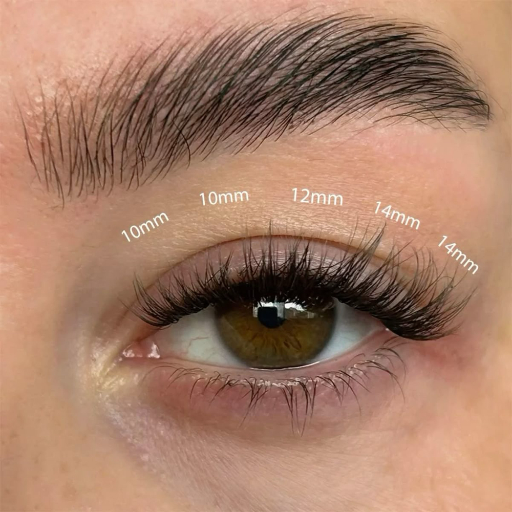 Cluster Lashes