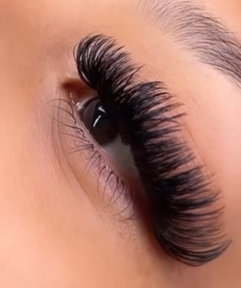 Bottom lashes