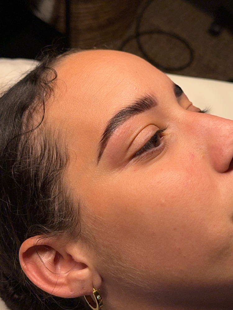 Signature Buff Brow Reset 💫