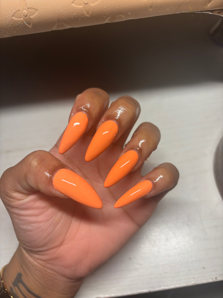 Basic Full Set