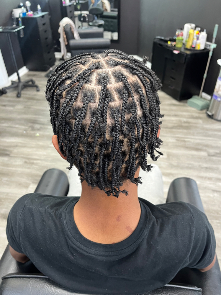 Small Plats Natural Hair