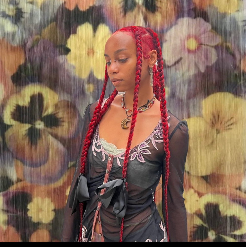 Knotless Braids (jumbo)