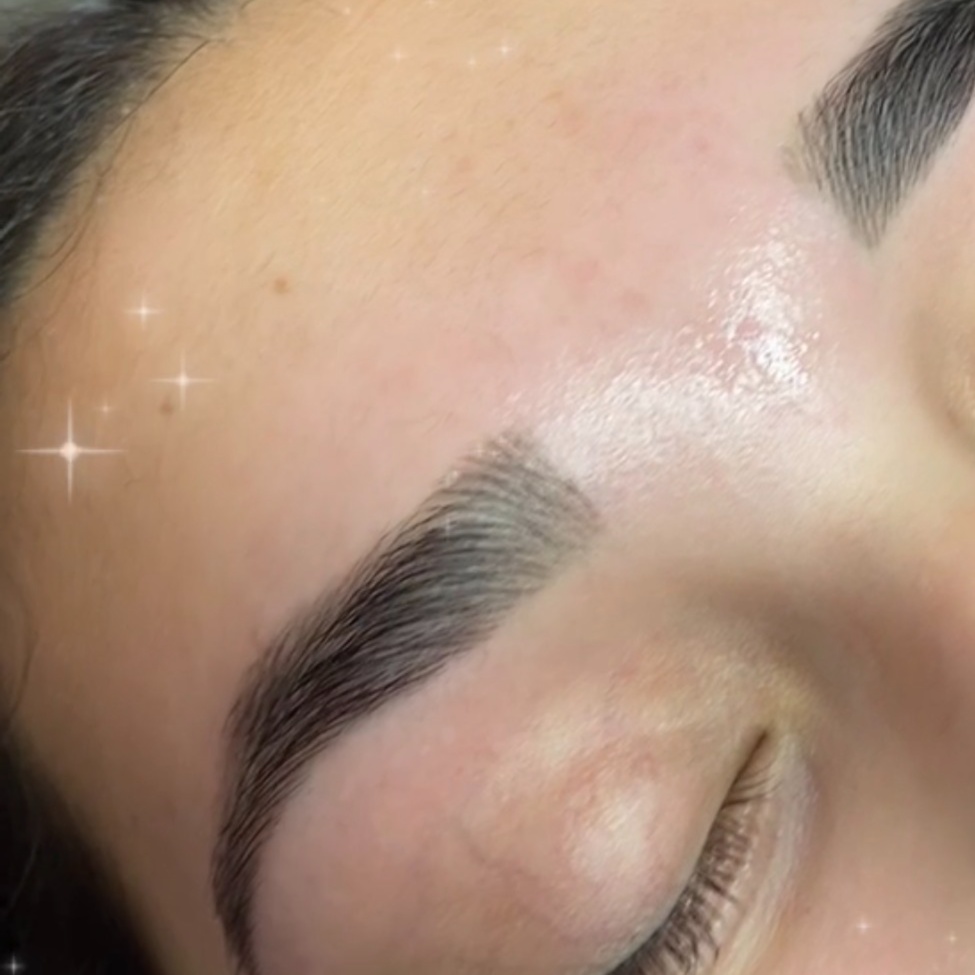 Brow or Lash Tint at Look By Danella in Toledo, OH