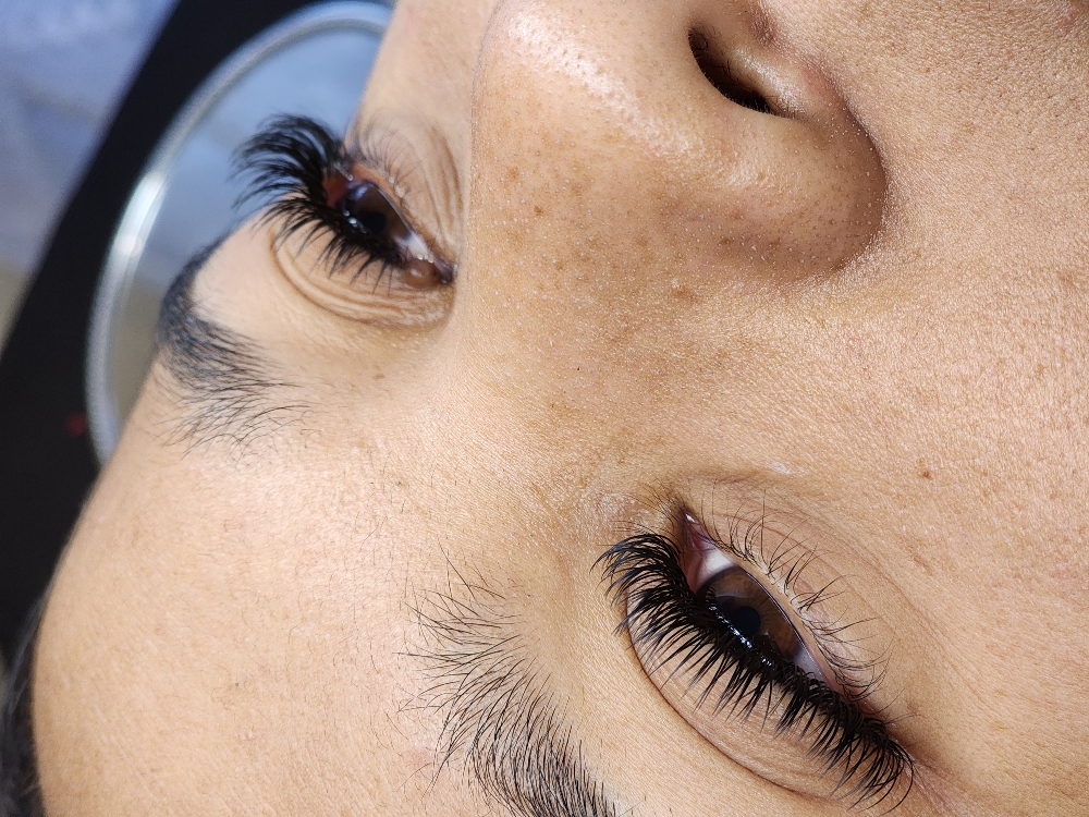Ellipse Lash 2 Week Fill $60