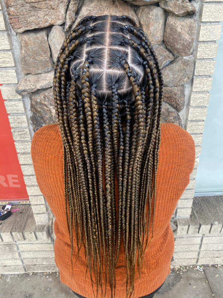Knotless Braids (Medium) at Honey Hair Salon in Sparks, NV
