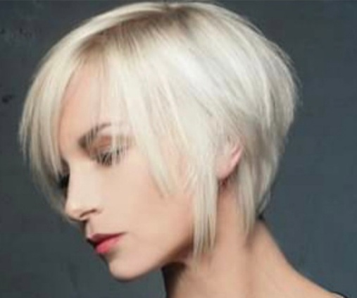 Bleach Retouch & Haircut