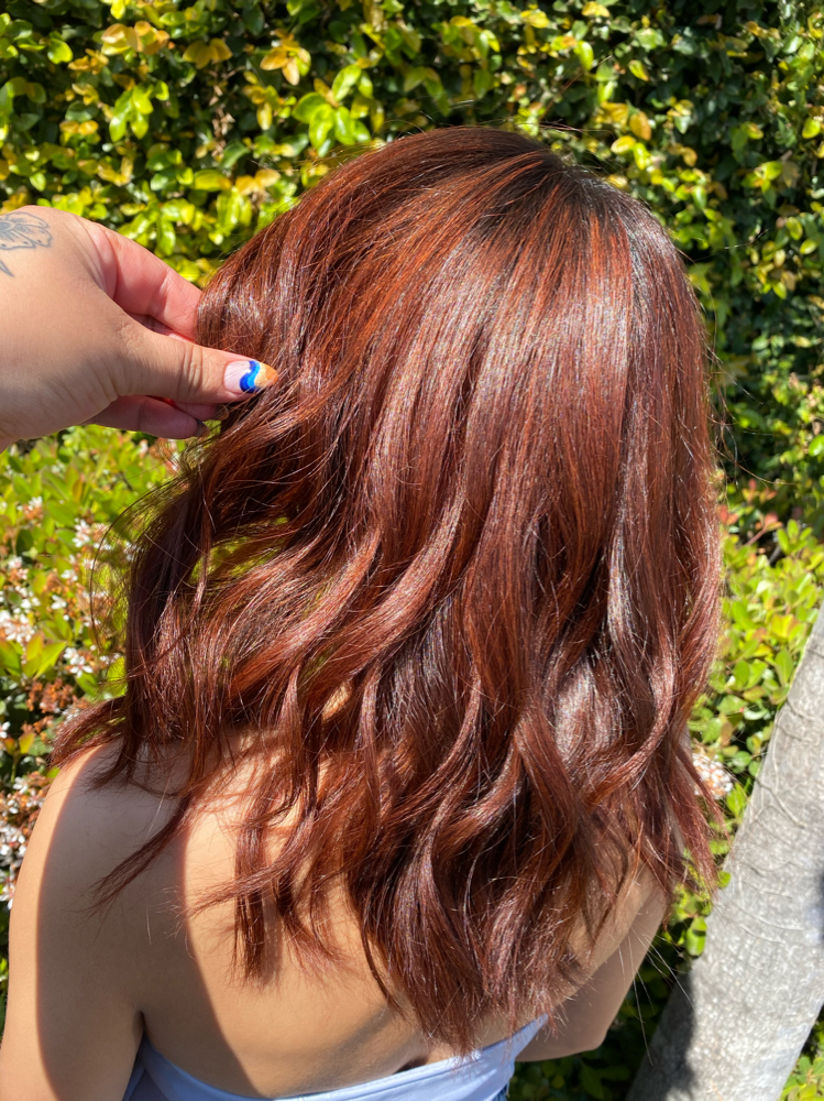 Haircut w/ Deep Conditioning