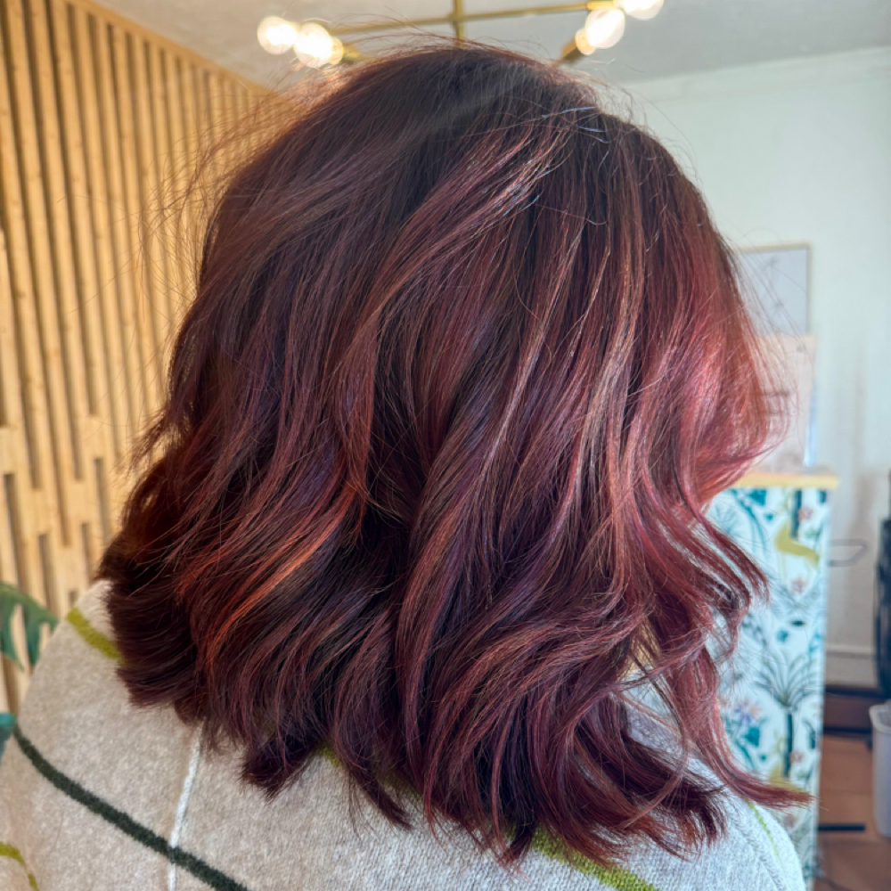 Baby Copper/Red Maintenance at Studio Bloom in Grand Junction, CO
