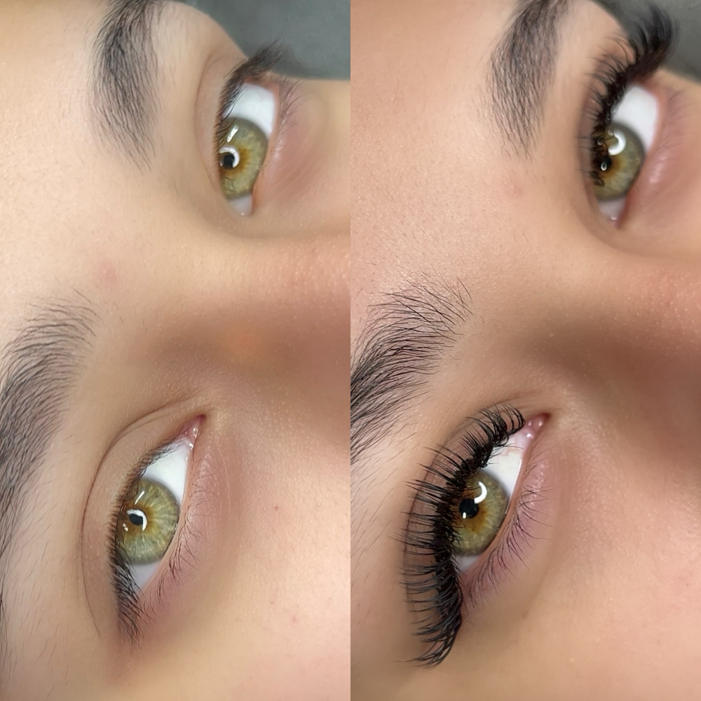 Wet Look (Aka- Classic/Hybrids)