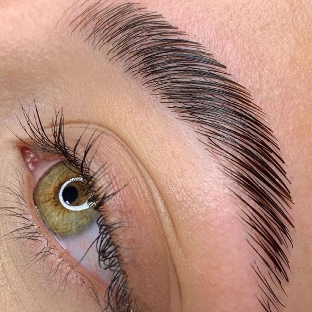 Eyebrow Lamination at Jensen Servold in Arvada, CO