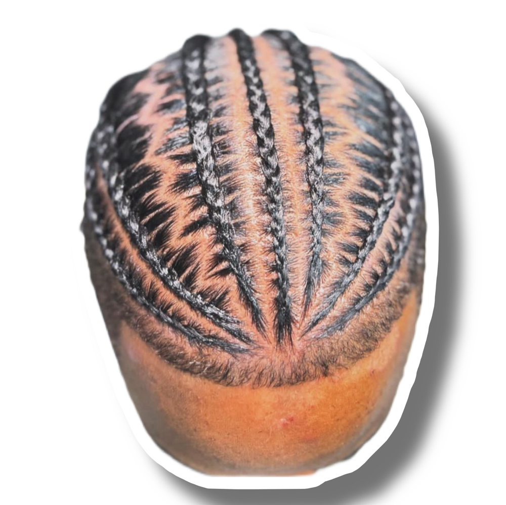 Male Braids*Top Only*